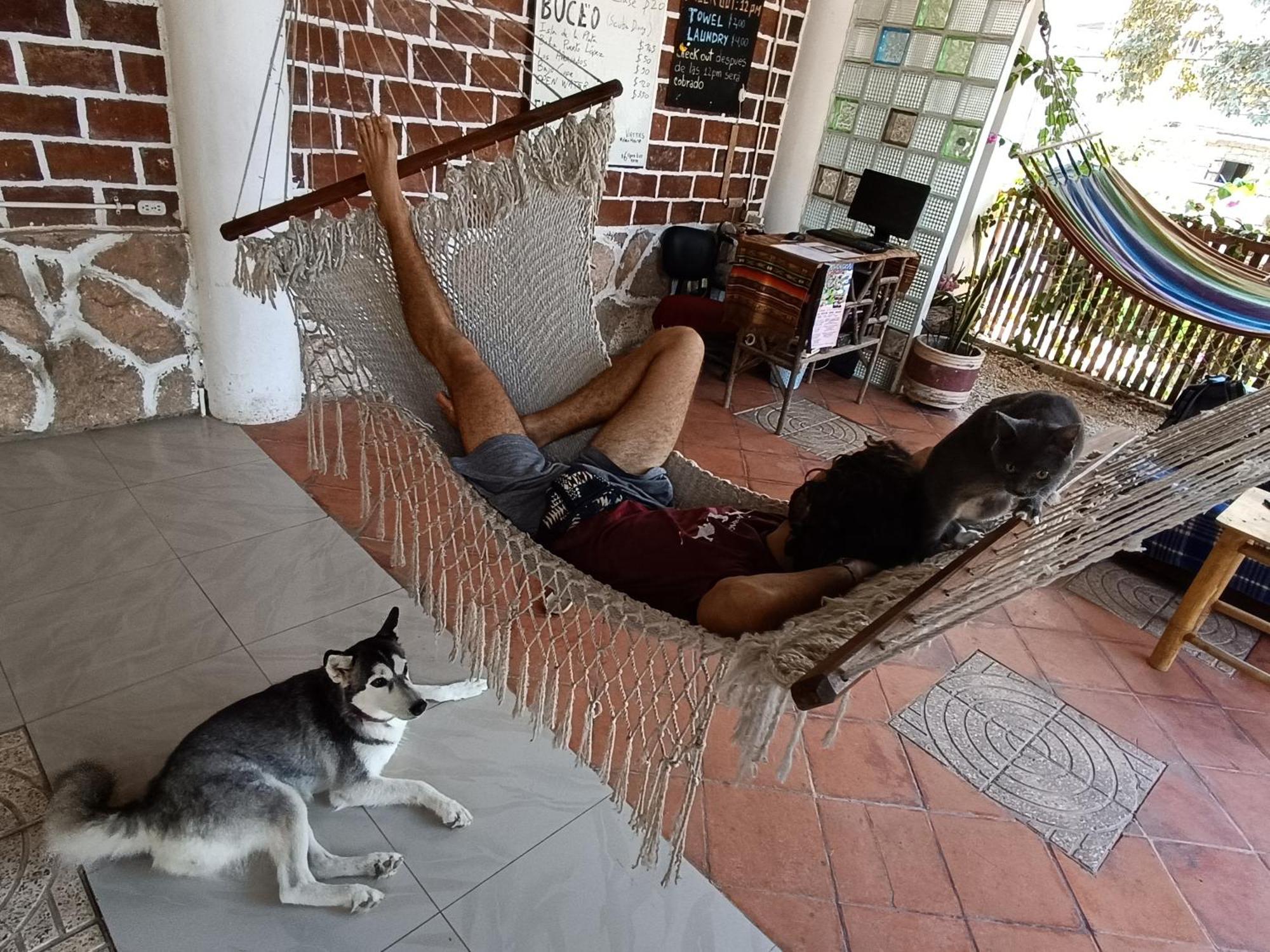 Munay Backpacker Hostel Montañita Εξωτερικό φωτογραφία